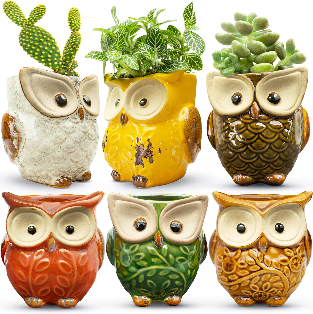 Owl Succulent Planters - Set of 6