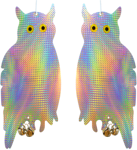 Holographic Scare Owls